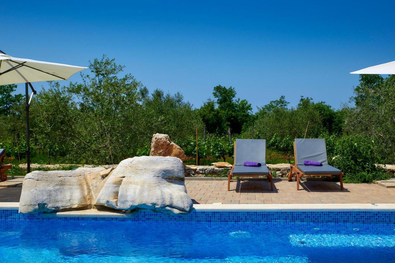 Relax House Surrounded By Olives And Vineyard Βίλα Stifanići Εξωτερικό φωτογραφία