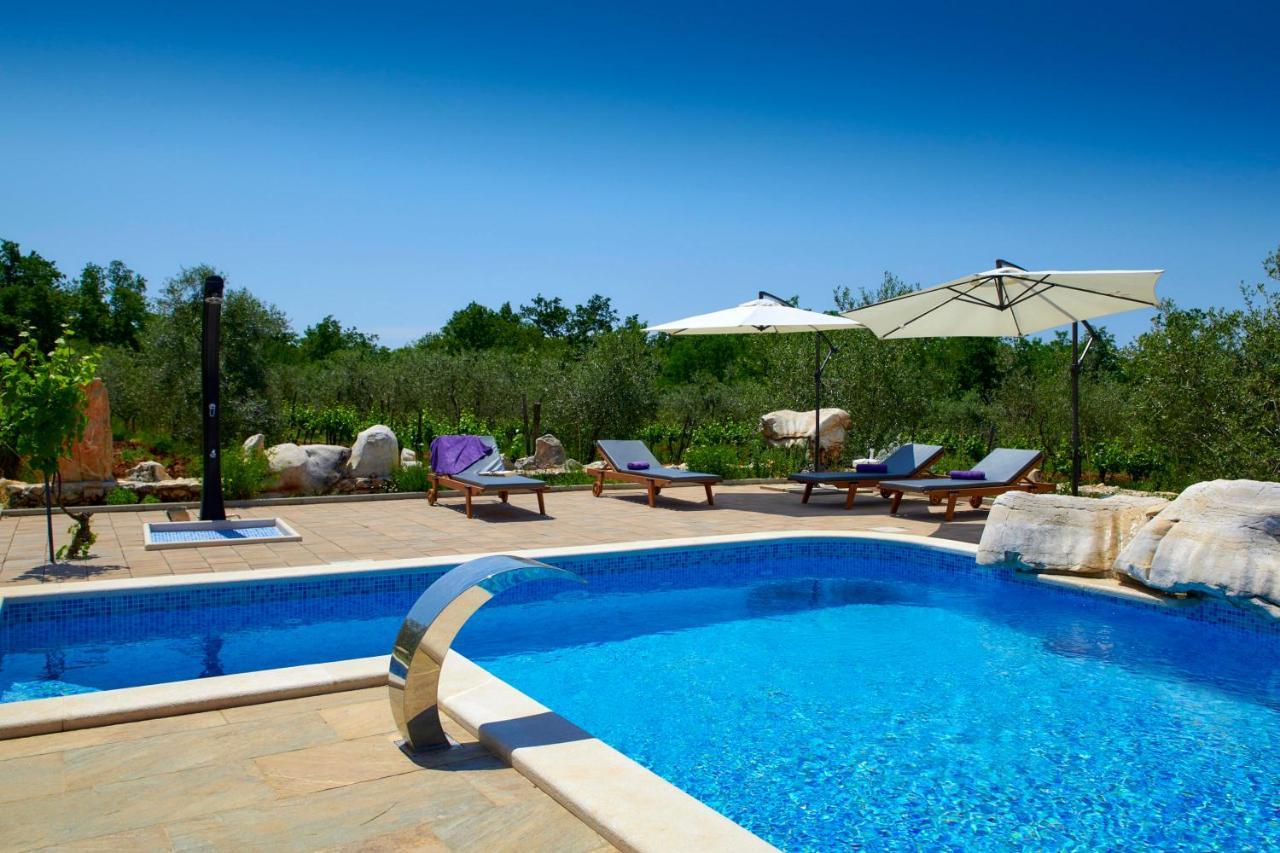 Relax House Surrounded By Olives And Vineyard Βίλα Stifanići Εξωτερικό φωτογραφία