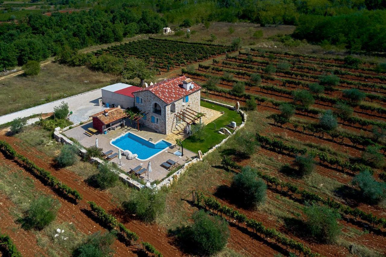 Relax House Surrounded By Olives And Vineyard Βίλα Stifanići Εξωτερικό φωτογραφία