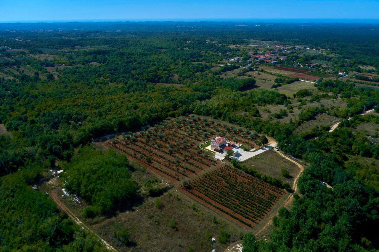 Relax House Surrounded By Olives And Vineyard Βίλα Stifanići Εξωτερικό φωτογραφία